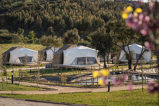Uma noite em Tenda Glamping com pequeno-almoço e acesso ao Wellness Center no Gavião Nature Village, distrito de Portalegre | 2 Pessoas