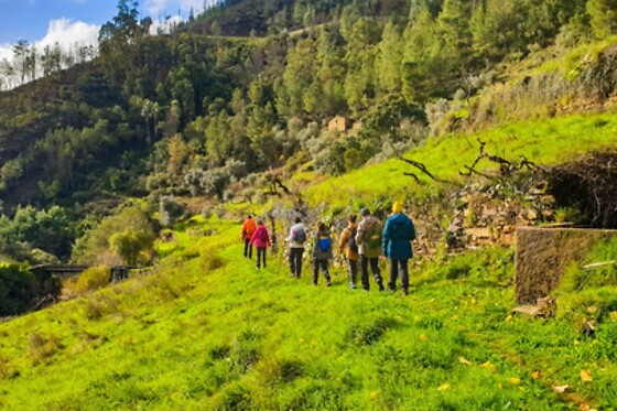 Canyoning na Ribeira da Pena - Góis para 1 | Trans Serrano - Aventura, Lazer e Turismo (Góis, Coimbra)