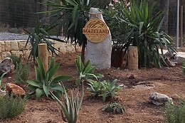 MAZELAND BENIDORM