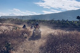 CLICK & QUADS