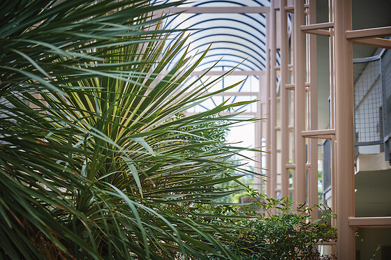 Les Jardins de l'Anjou - photo 20