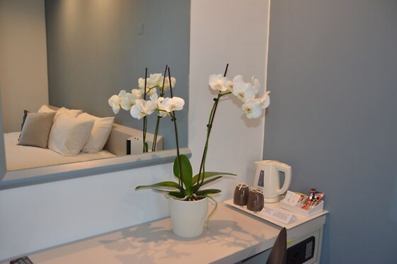Online Booking EPS - photo 6