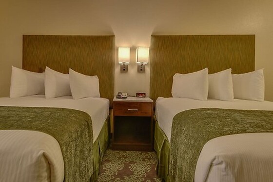 Online Booking EPS - photo 1