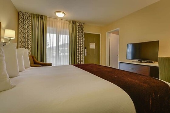 Online Booking EPS - photo 4