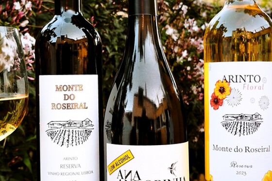 Prova de 2 vinhos + Visita ao Museu do Roseiral para 2 | Monte do Roseiral (Bucelas, Lisboas)