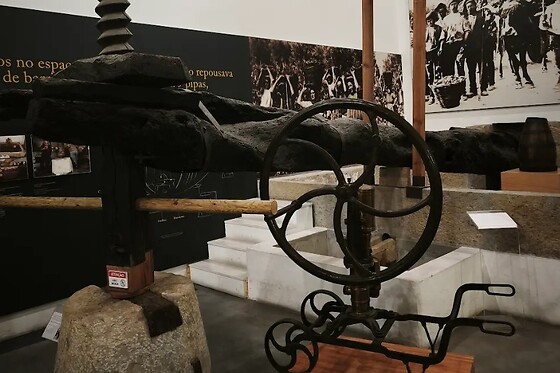 Prova de 2 vinhos + Visita ao Museu do Roseiral para 2 | Monte do Roseiral (Bucelas, Lisboas)
