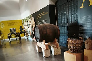 Prova de 2 vinhos + Visita ao Museu do Roseiral para 2 | Monte do Roseiral (Bucelas, Lisboas)