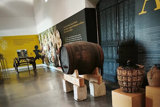 Prova de 2 vinhos + Visita ao Museu do Roseiral para 2 | Monte do Roseiral (Bucelas, Lisboas)