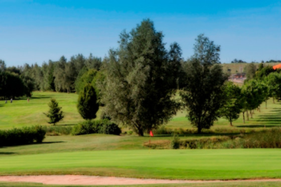 Ugolf Metz - photo 12