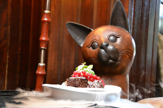 Um Gourmet Card para 2 em O Gato do Rio em São Pedro (Braga)