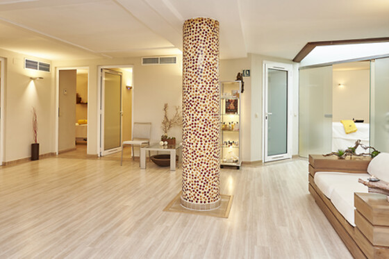 HOTEL GRÈVOL SPA - photo 14
