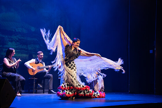 TEATRO FLAMENCO BARCELONA - photo 3