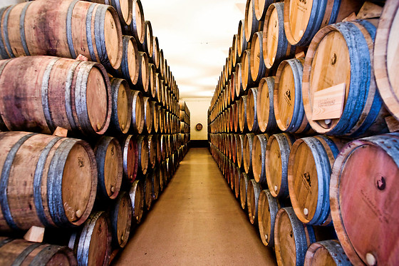 BODEGAS SANTALBA - photo 2