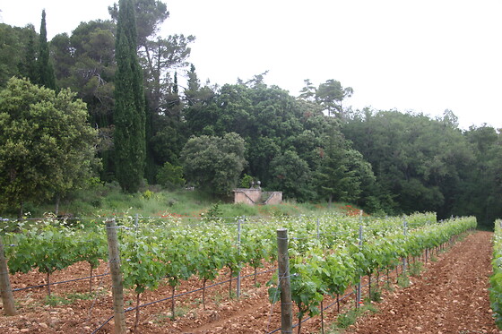 BODEGAS PAGO DE LARRAINZAR - photo 2