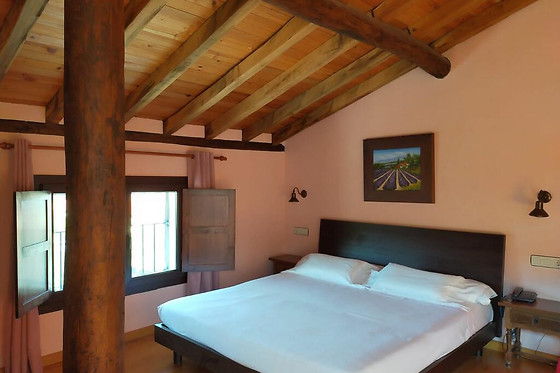 HOTEL ANTIGUAS ERAS LA ALBERCA - photo 17