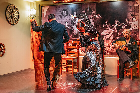 TABLAO FLAMENCO LA CANTAORA - photo 4