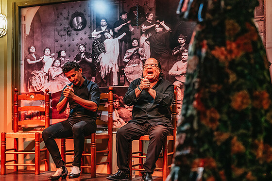 TABLAO FLAMENCO LA CANTAORA - photo 9