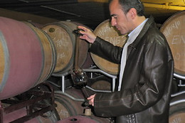 CELLERS BARONIA DEL MONTSANT