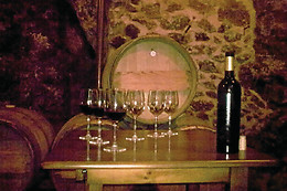 CASA RURAL MAGNANIMVS